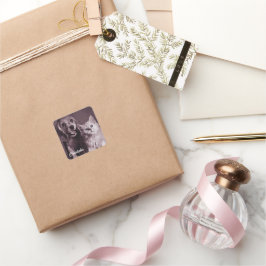 Adesivo Quadrado Cachorro e Gato, Procurando Personalizado