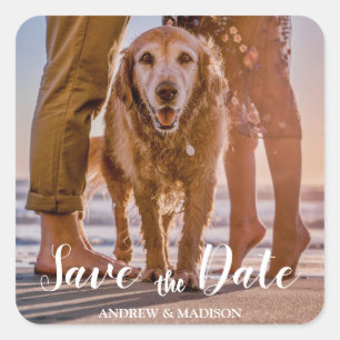 Adesivo Quadrado Cachorro na Praia com Casal Save the Date