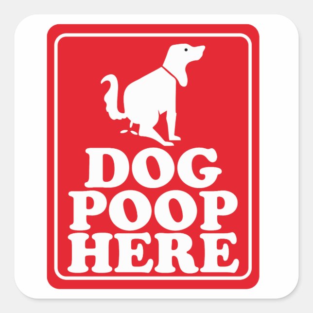 Adesivo Quadrado Cachorro Poop Aqui (Frente)