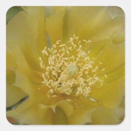Adesivo Quadrado Cacto Amarelo em Flor