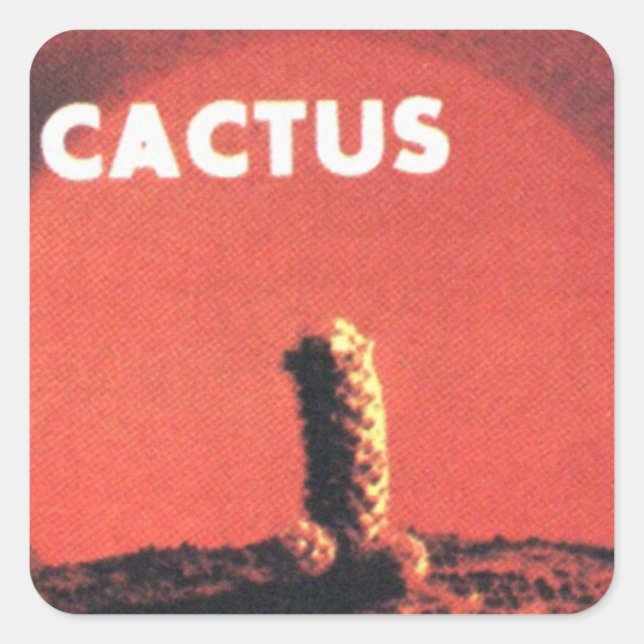 Adesivo Quadrado Cactus 1970 Stickers (Reprodução) (Frente)