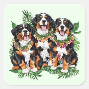 Adesivo Quadrado Cães Berneses de Montanha Havaianos Flor Lei
