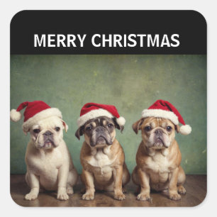 Adesivo Quadrado Cães de Natal Feliz