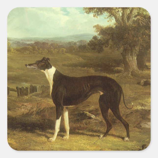 Adesivo Quadrado Cães, Greyhound e Spaniel, Doctor Fop por Herring (Frente)