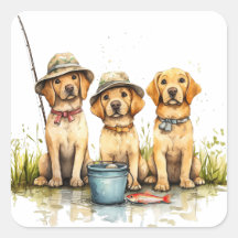 Cães Labrador Retriever Pescando