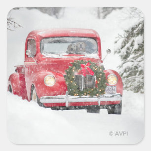 Adesivo Quadrado Cães num Caminhão