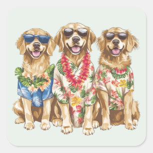 Adesivo Quadrado Cães Retriever Dourados Havaianos Lei de Flores