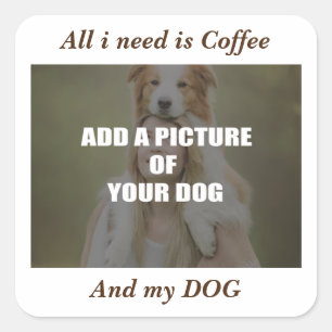 Adesivo Quadrado Café e meu Travesseiro decorativo de Cachorro