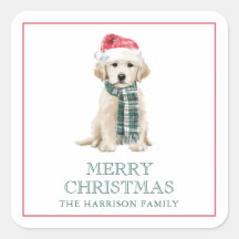 Caixa de Presente de Natal Fofo com Cachorros