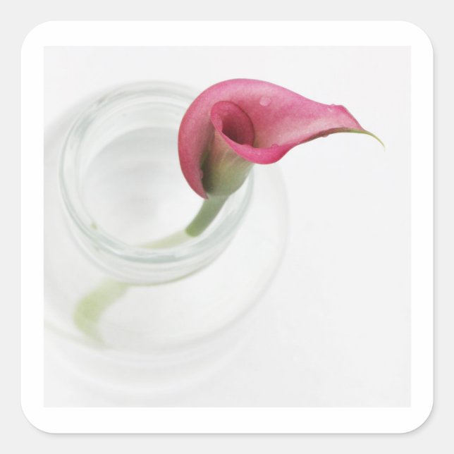 Adesivo Quadrado Calla Square Sticker (Frente)