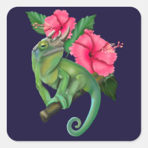 Camaleão de Jackson com Hibiscus