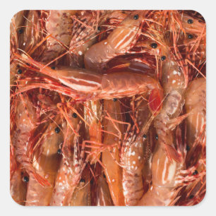 Adesivo Quadrado Camarões deliciosos