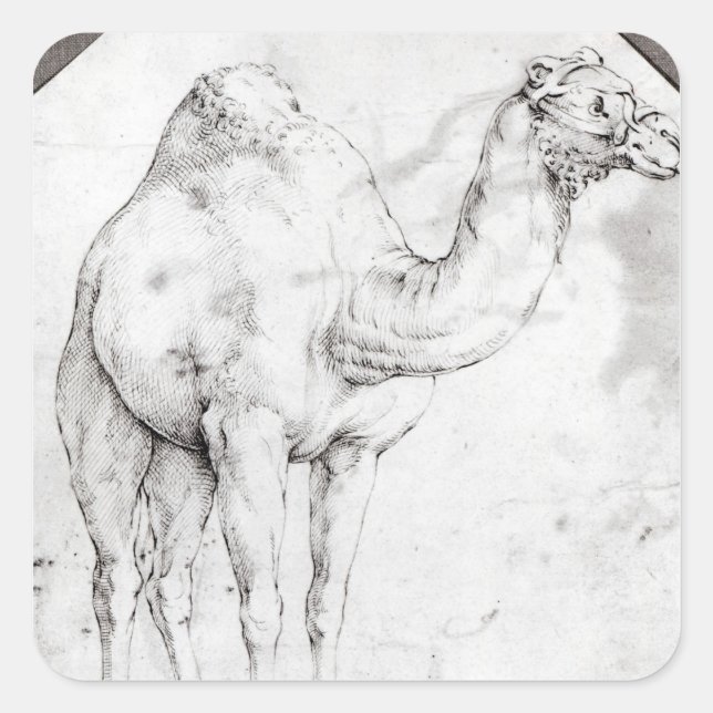 Adesivo Quadrado Camel (Frente)
