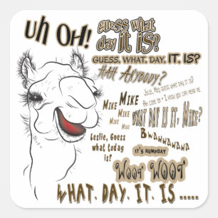 Adesivo Quadrado Camelo Hump Day