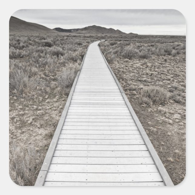 Adesivo Quadrado Caminhada de barro através do deserto (Frente)