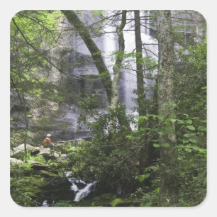 Adesivo Quadrado Caminhante admira Falls Branch Falls