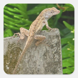 Adesivo Quadrado Camouflage Master