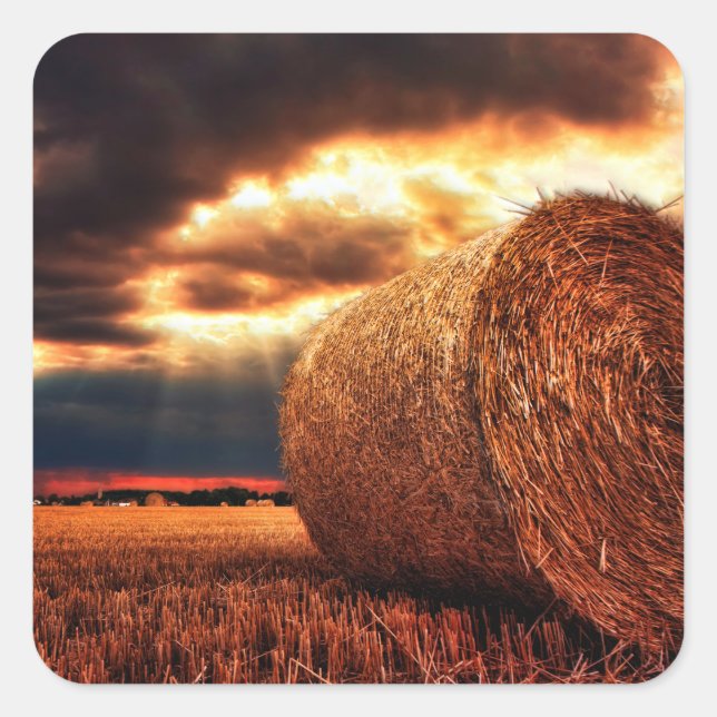 Adesivo Quadrado Campo de Hay Bales (Frente)