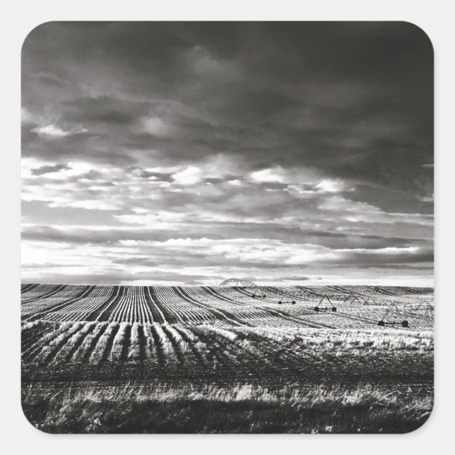 Adesivo Quadrado campos de fazenda (Frente)