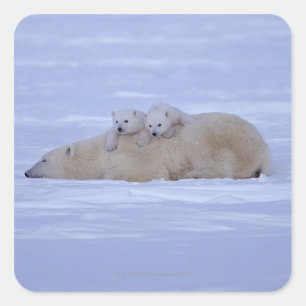 Adesivo Quadrado Canadá