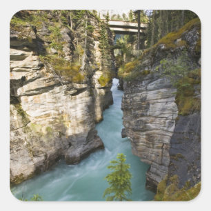 Adesivo Quadrado Canadá, Alberta, Parque Nacional Jasper, Athabasca