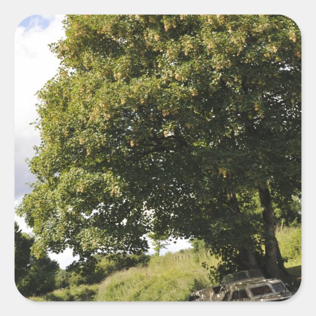 Adesivo Quadrado Canal Boats (Frente)