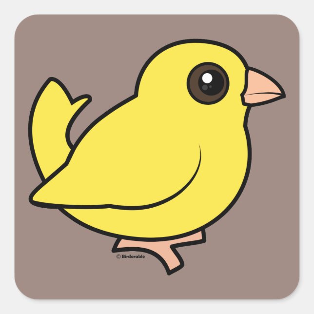 Adesivo Quadrado Canário (Frente)