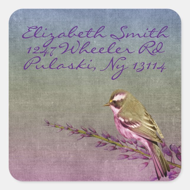 Adesivo Quadrado Canavieira (Frente)