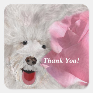 Adesivo Quadrado Caninos e Rosas