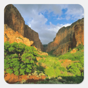 Adesivo Quadrado Cânion Kolob no Zion Canyon no Parque Nacional Zio