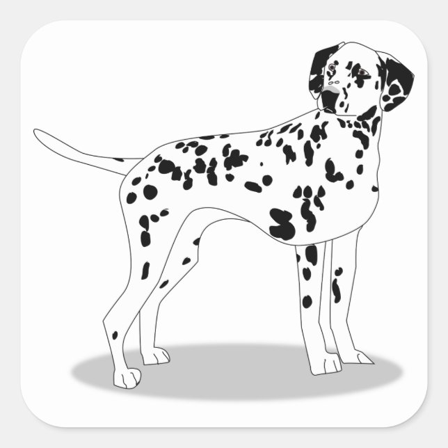 Adesivo Quadrado Cão (Frente)