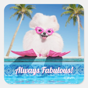 Adesivo Quadrado Cão Ao Lado Das Costas