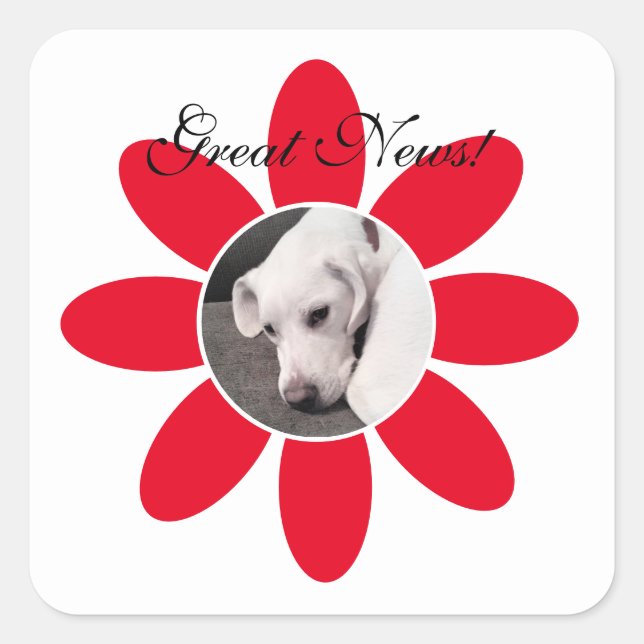 Adesivo Quadrado Cão Cachorro Branco-Cachorro em Cachorro Vermelho- (Frente)