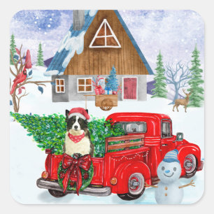 Adesivo Quadrado Cão Collie Fronteira na Neve do Caminhão de Parto 