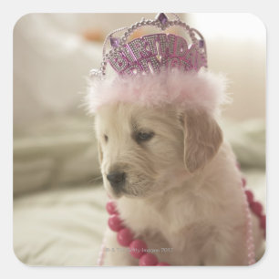 Adesivo Quadrado Cão com as decorações na cama