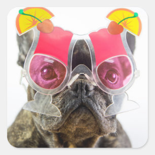 Adesivo Quadrado Cão das imagens de Getty com vidros de cocktail