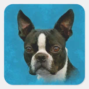 Adesivo Quadrado Cão de Boston Terrier