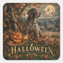 Cão de Caça Pointer Alemão de Pelo Curto de Hallow