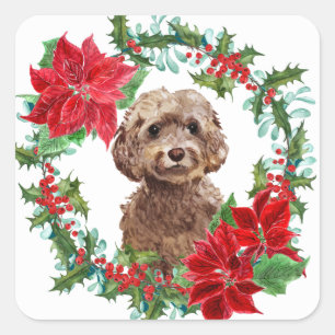 Adesivo Quadrado Cão de Cockapoo Castanho Poinsettia Fúria de Nat