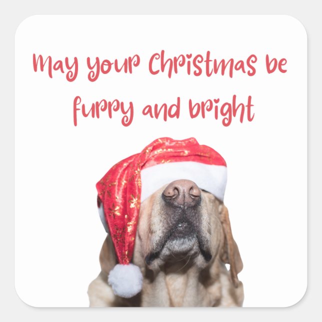 Adesivo Quadrado cão de natal engraçado (Frente)