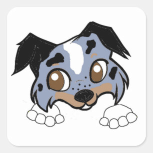 Adesivo Quadrado Cão de Pastoreio Shetland Blue Merle Tri Peeking C