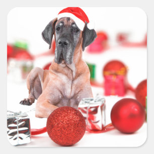 Adesivo Quadrado Cão Dogue Alemão com Enfeites de Natal Presentes