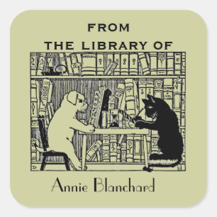 Adesivo Quadrado Cão e Gato na Biblioteca