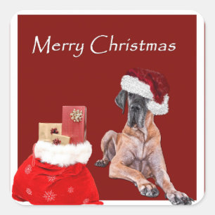 Adesivo Quadrado Cão great dane do Natal
