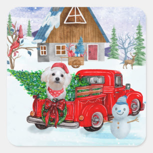 Adesivo Quadrado Cão Maltês em Caminhão de Entrega de Natal na Neve
