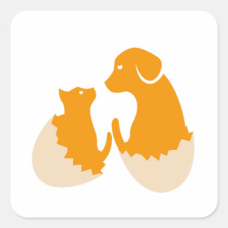 Adesivo Quadrado cão no ovo
