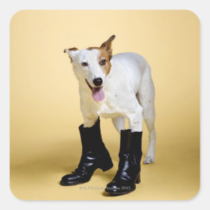 Adesivo Quadrado Cão que veste botas