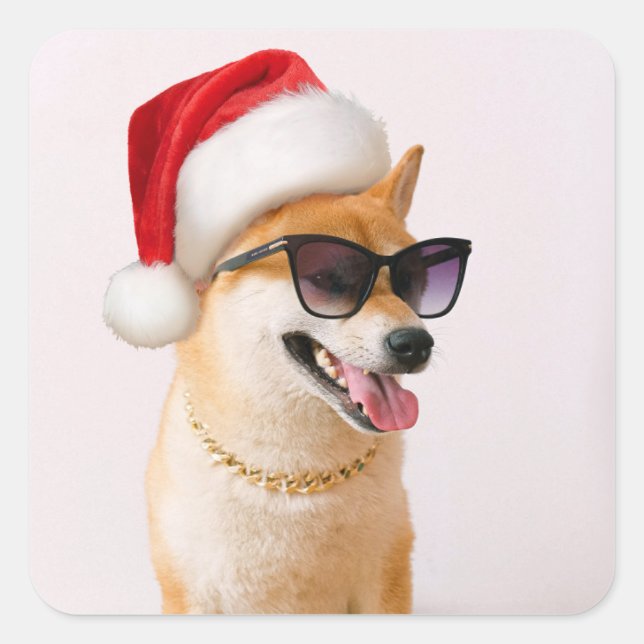 Adesivo Quadrado Cão Shiba Inu em Papai Noel chapéus vermelhos (Frente)