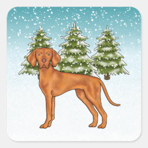 Adesivo Quadrado Cão Vizsla Húngaro Floresta Invernal Nevada Festiv