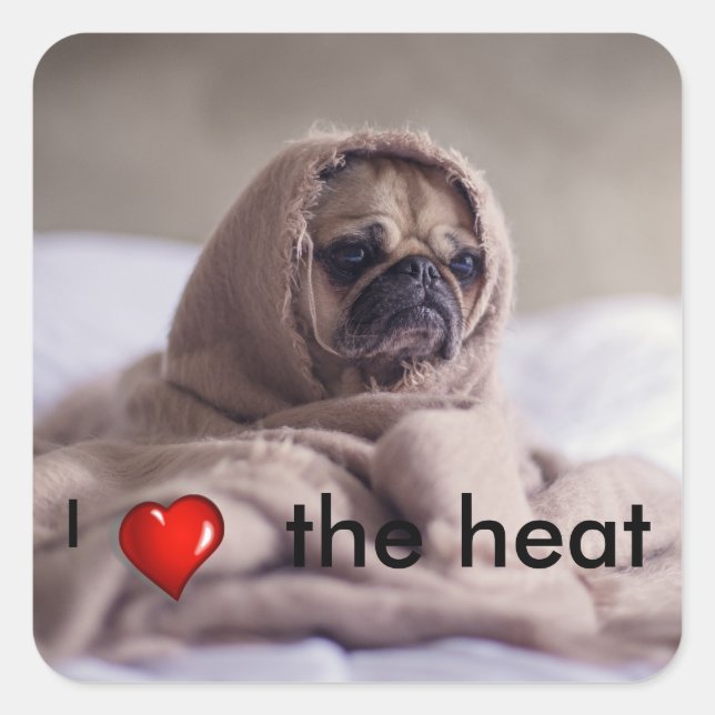 Adesivo Quadrado Cãozinho engraçado (Frente)